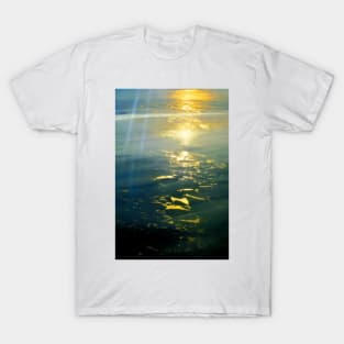 The Sea of Ice V. Approaching Labrador T-Shirt